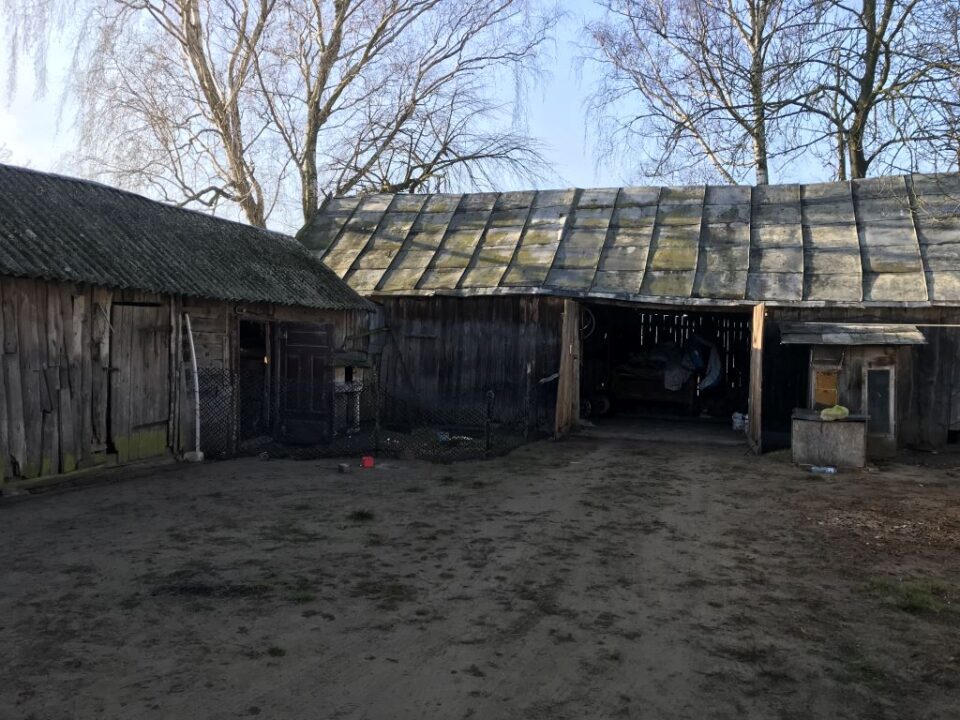 Wirtualna Choinka 2019