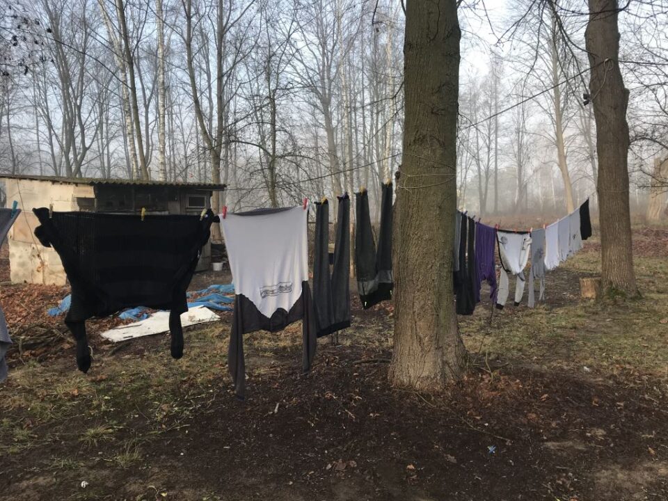 Wirtualna Choinka 2019