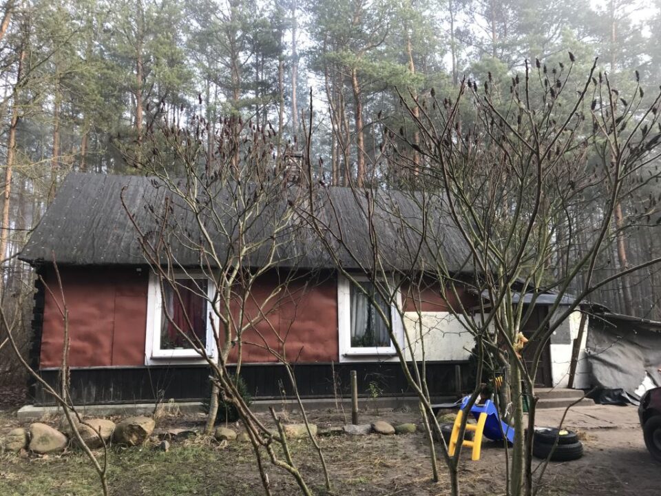 Wirtualna Choinka 2019