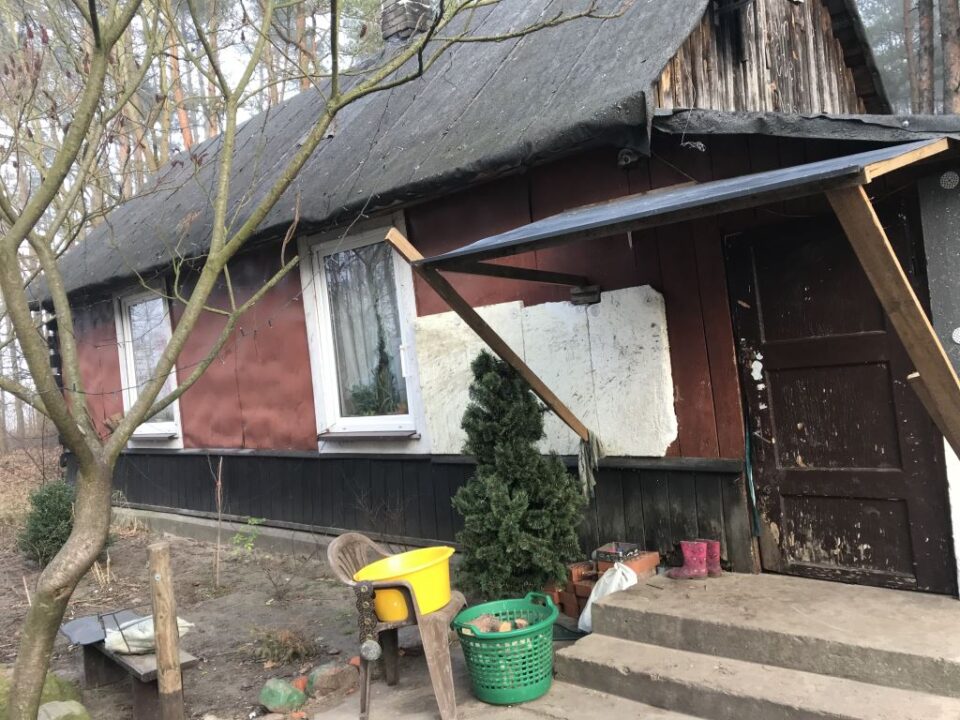 Wirtualna Choinka 2019