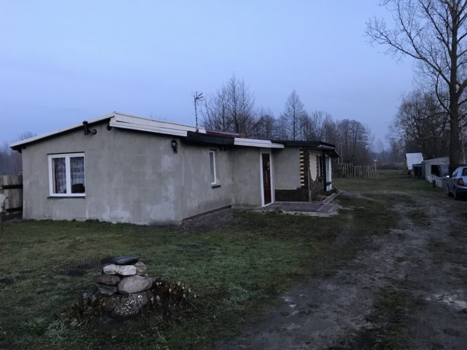 Wirtualna Choinka 2019