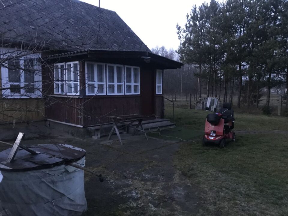 Wirtualna Choinka 2019
