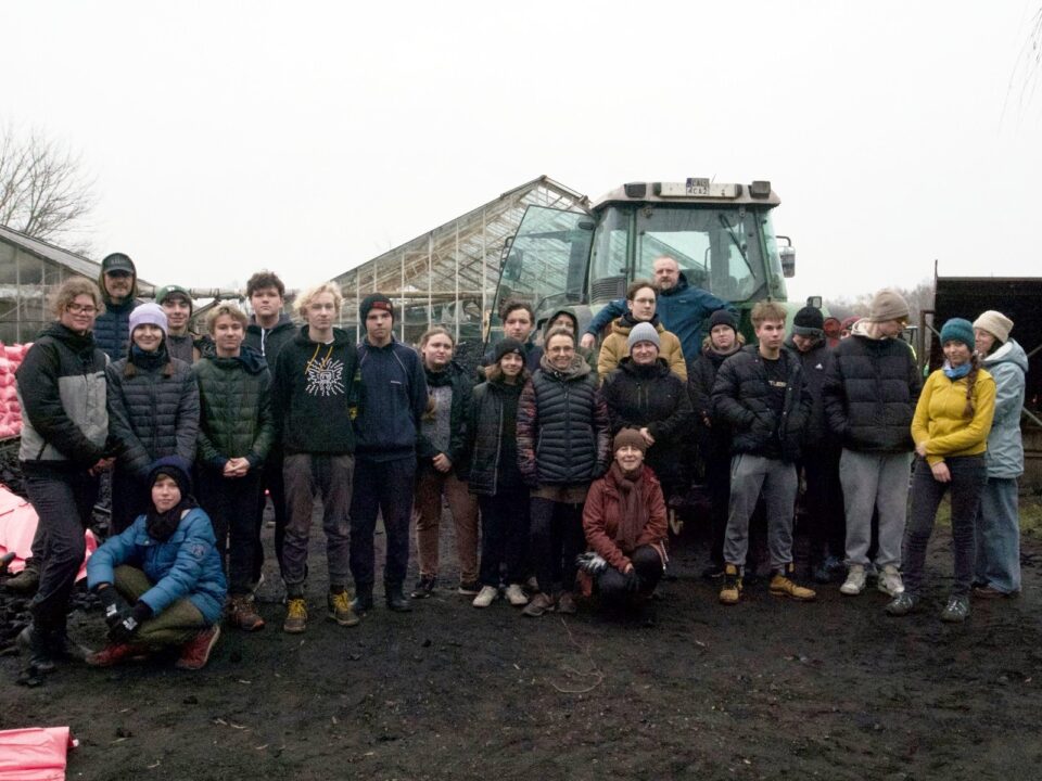 PAKOWANIE WĘGLA 2025