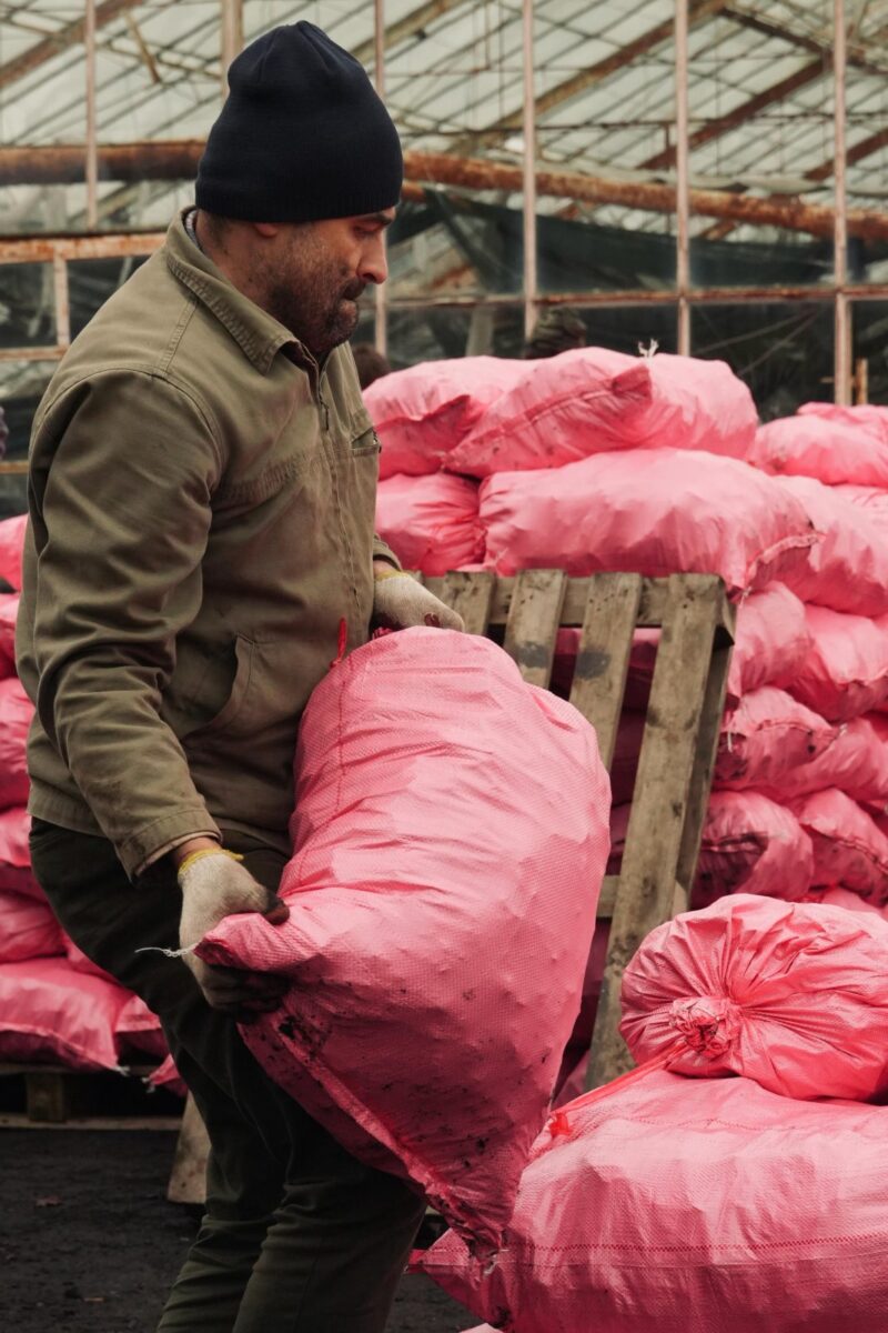 PAKOWANIE WĘGLA 2025